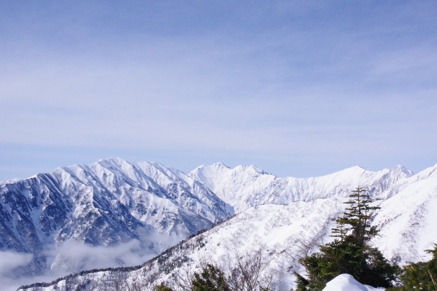 山友さん募集