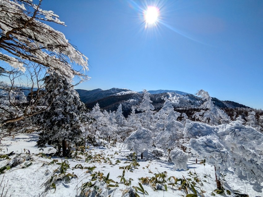 雪山❄️登山山友さん❄️募集❄️