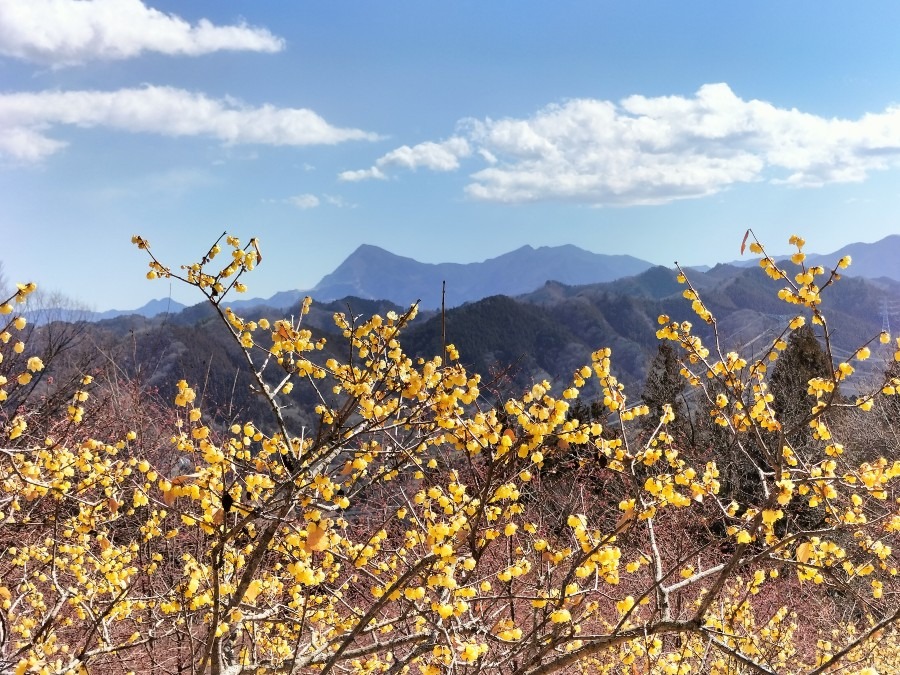 2025/02/26　四阿屋山