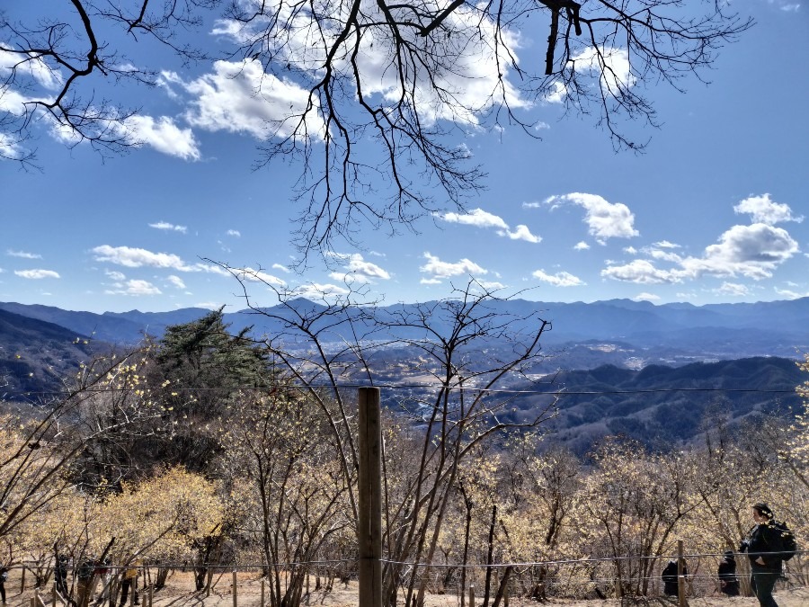 宝登山　大混雑😆