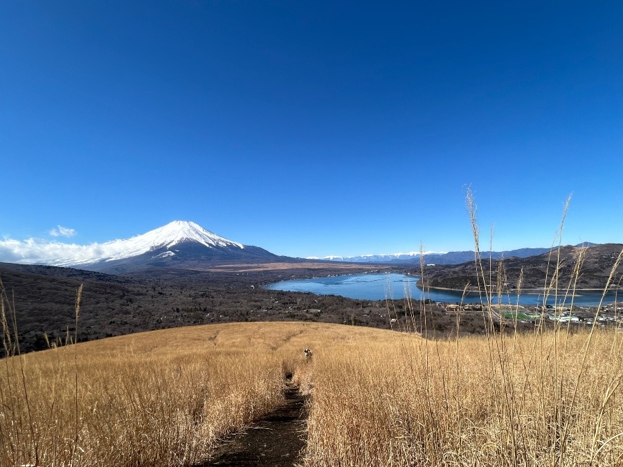 鉄炮木の頭山頂への登山道