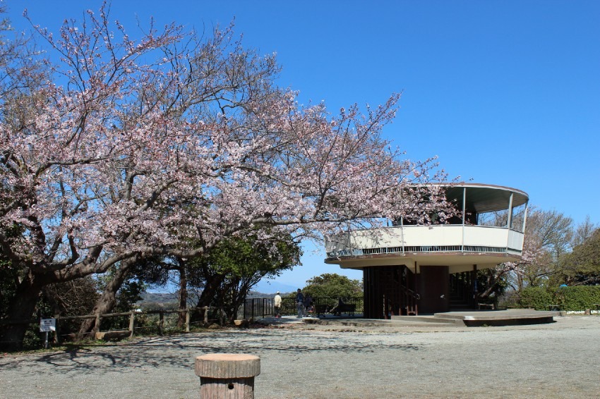 【募集終了】[犬連れ歓迎] 4/12(土) 逗子 披露山ハイキング