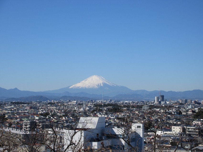 202５年２月２２日（土）田浦梅林