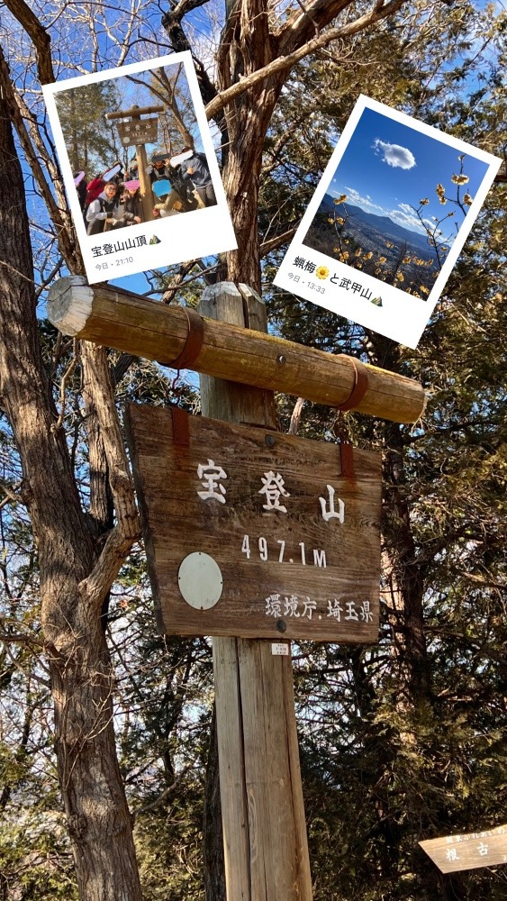 蝋梅🌼と宝登山⛰️