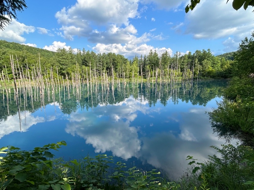 北海道☆百名山【雌阿寒岳・斜里岳・羅臼岳】まとめてGO！