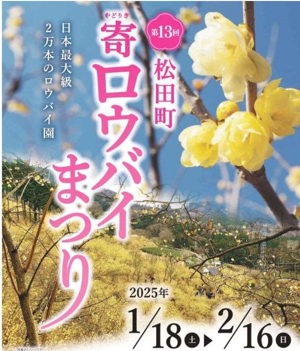 【満員御礼】2/16日曜 シダンゴ山と寄ロウバイまつり