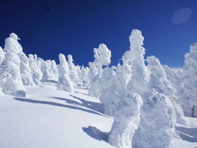 ［締切］2/22-23 安達太良山〜西吾妻山(前日夜発)のご案内