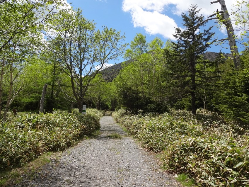 GW低山縦走日帰り登山、ご一緒しませんか?