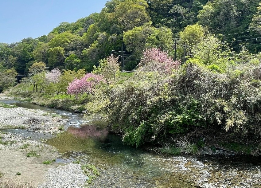 高尾山・陣場山の友達、募集!