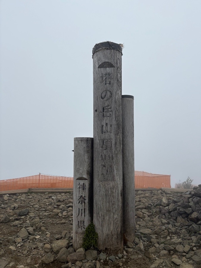 ５／２０日　塔ノ岳