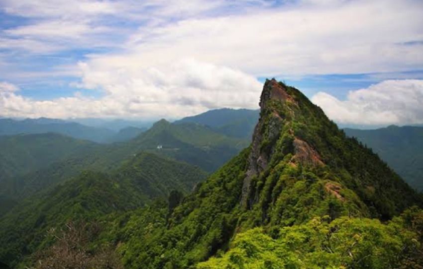 石鎚山&剣山【大阪発】三嶺〜剣山の縦走&石鎚山+香川県最高峰の竜王山