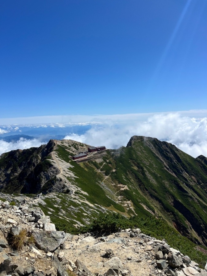 山友達募集
