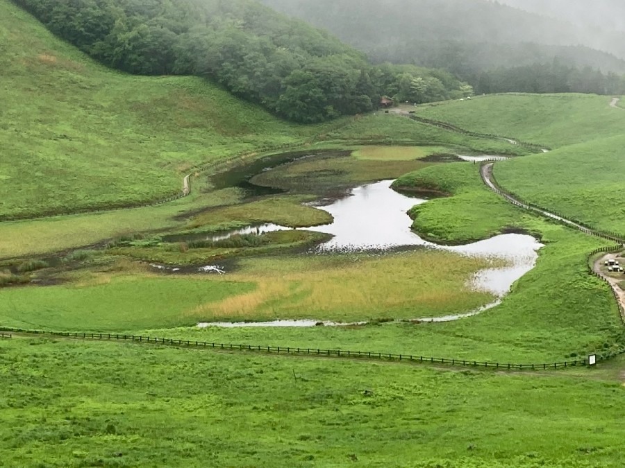新緑の曽爾高原