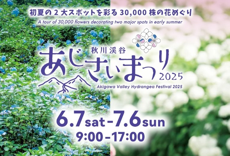 6/21土曜 南沢あじさい山 花咲おじいさまへの感謝を込めて