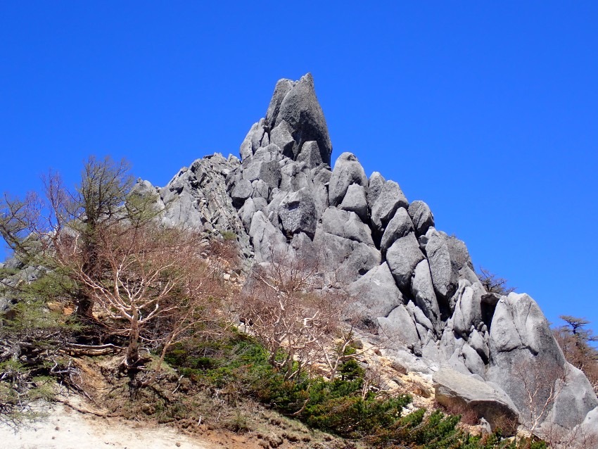 山を楽しむ仲間達