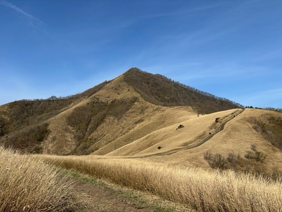 蒜山縦走