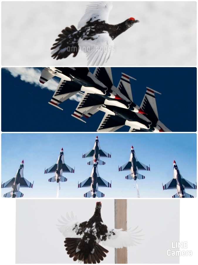 梅雨入り前に「イッちゃえ!」御嶽山/乗鞍岳 Thunderbirds 編