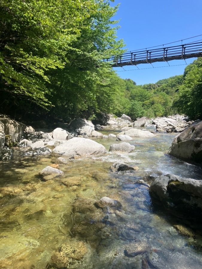 夏のアルプス⛰️