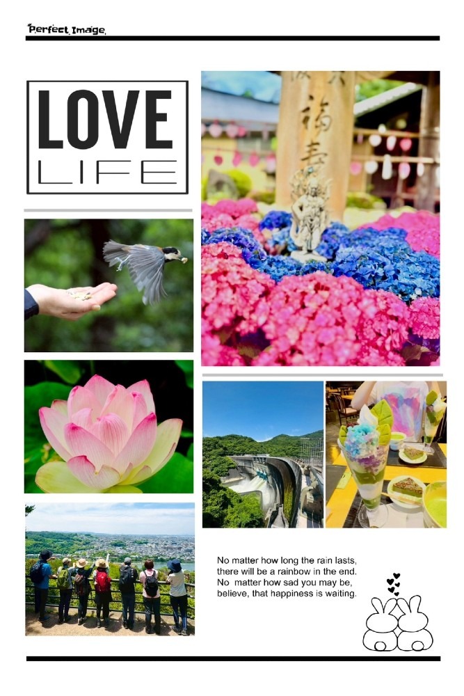 6.13 宇治紫陽花と抹茶スイーツを楽しむハイク（三室戸寺）