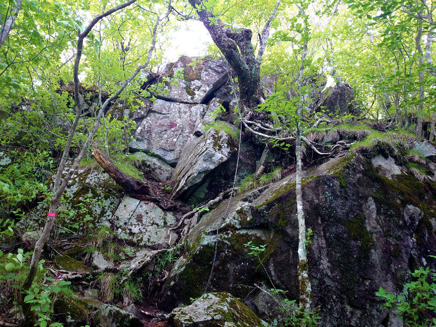 【満員御礼】6月1日(日)鎖場ルートの茅ヶ岳(観音峠より) 同行者募集【西国分寺発】