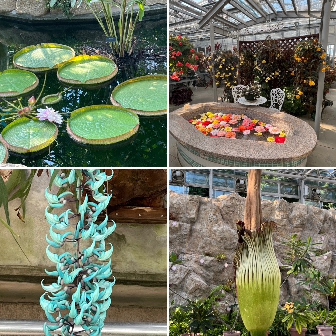 神代植物公園