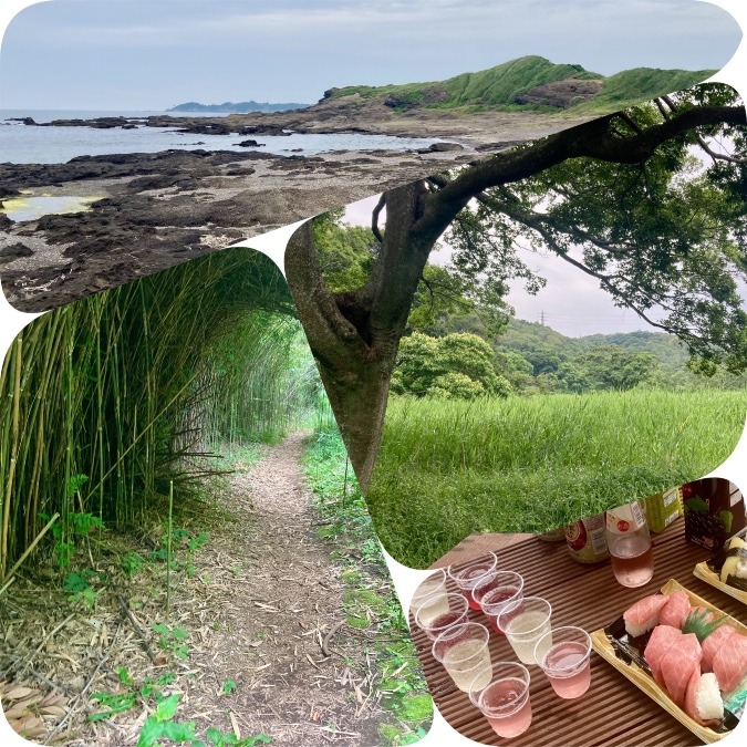 🌳小網代の森〜黒崎の鼻🌊