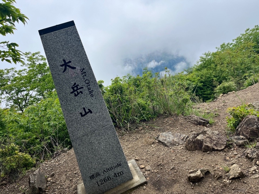 低山活動9…🤭