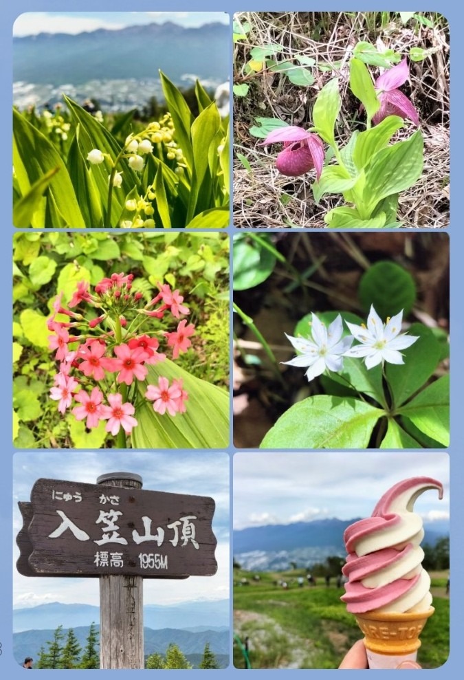 6/7　入笠山