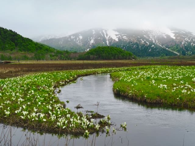 6月14日　入笠山　すずらんを見に行こう　年齢性別条件なし