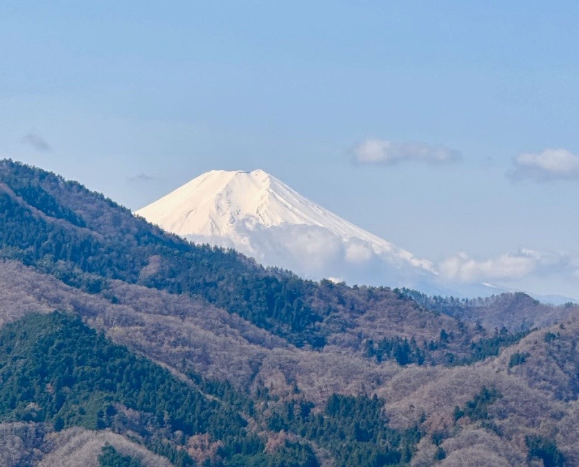 百蔵山から富士山