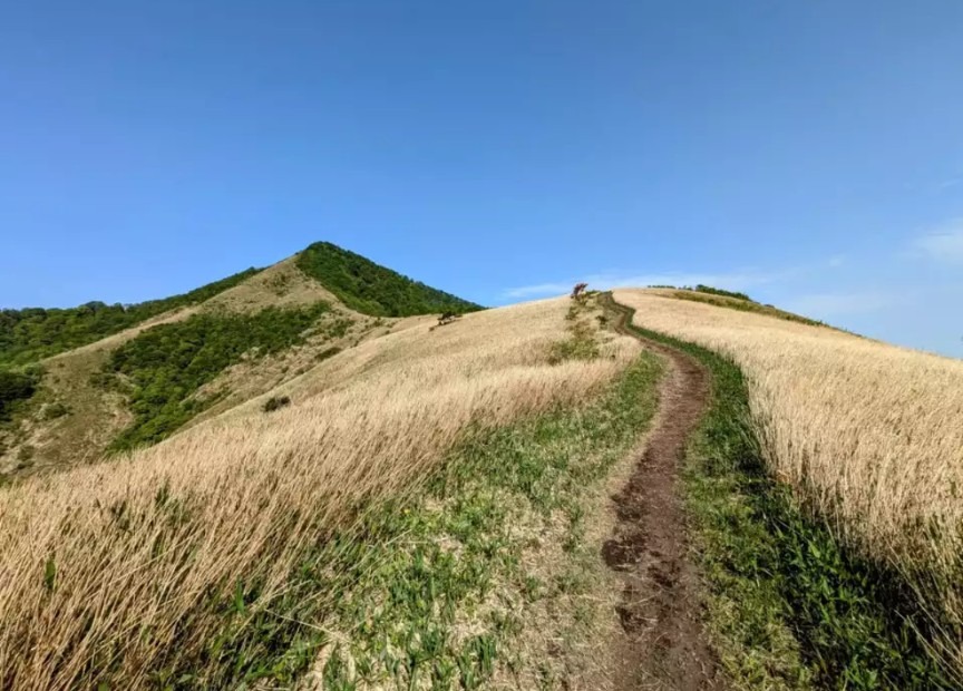 蒜山三座
