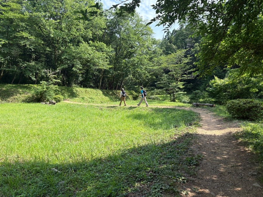 6／７　日和田山→天覧山→多峯主山
