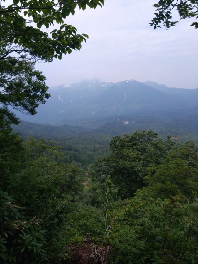 7/19or7/20都内発日帰り300名山〜白髪門・朝日か米山・彌彦神社か他