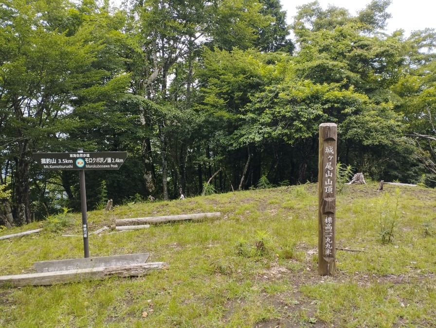 崖崩れ多数有り