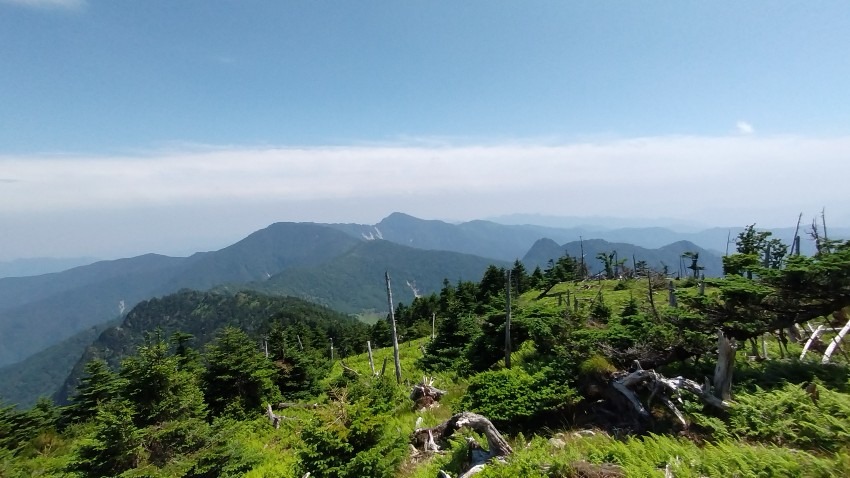 お山友達募集です