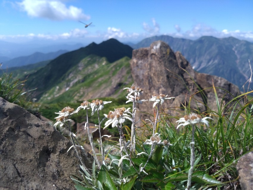 8/9.10都内発〜白山越前三ノ峰、鷹が岳他