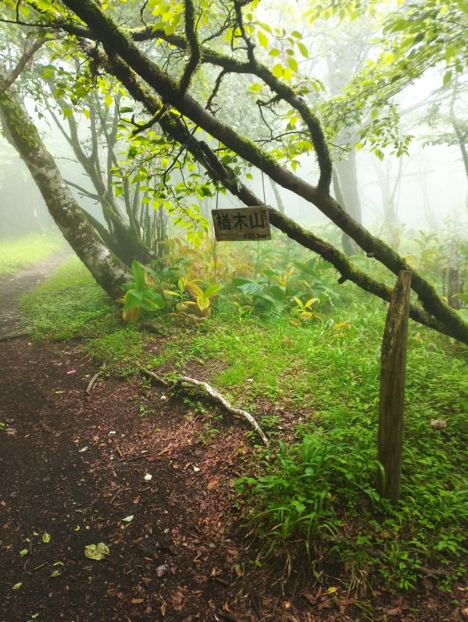 樽木山登山