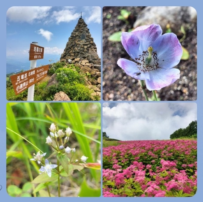 7/30　白馬五竜高山植物園
