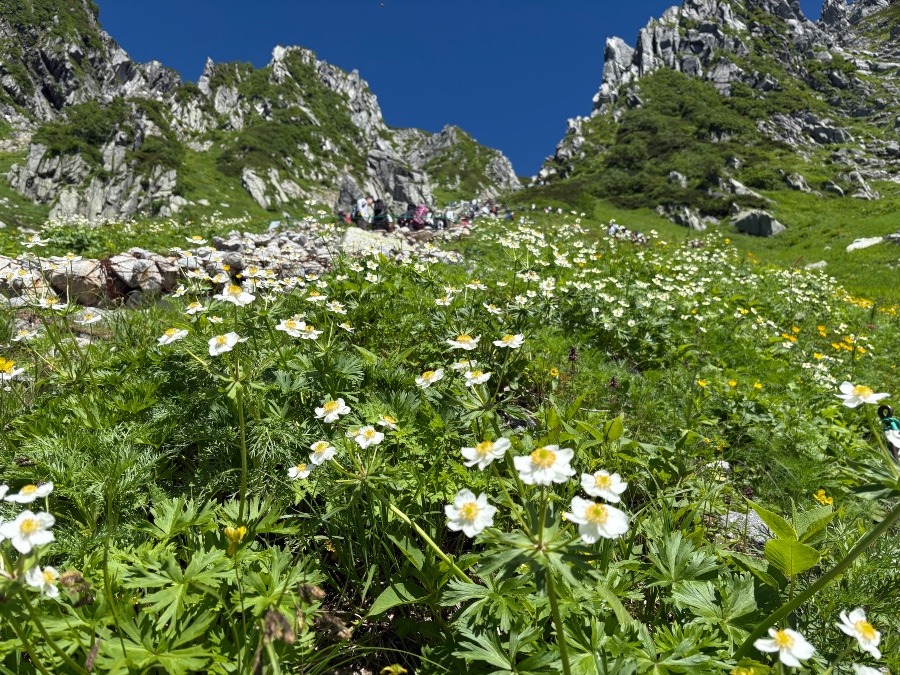 木曽駒ヶ岳