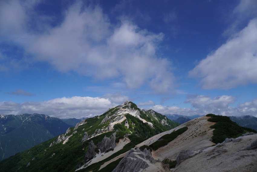 山仲間募集