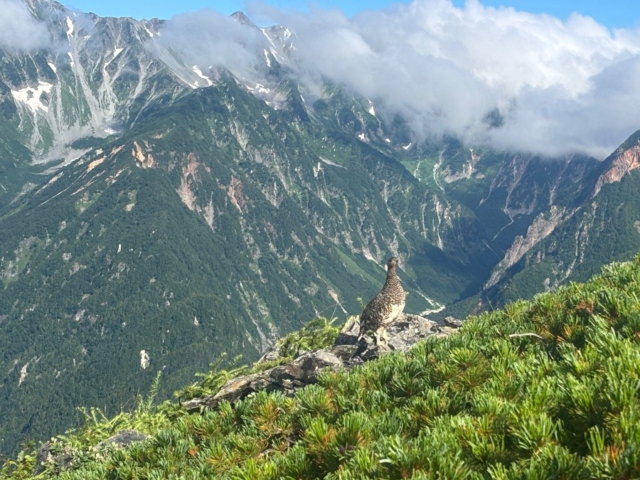 蝶ヶ岳