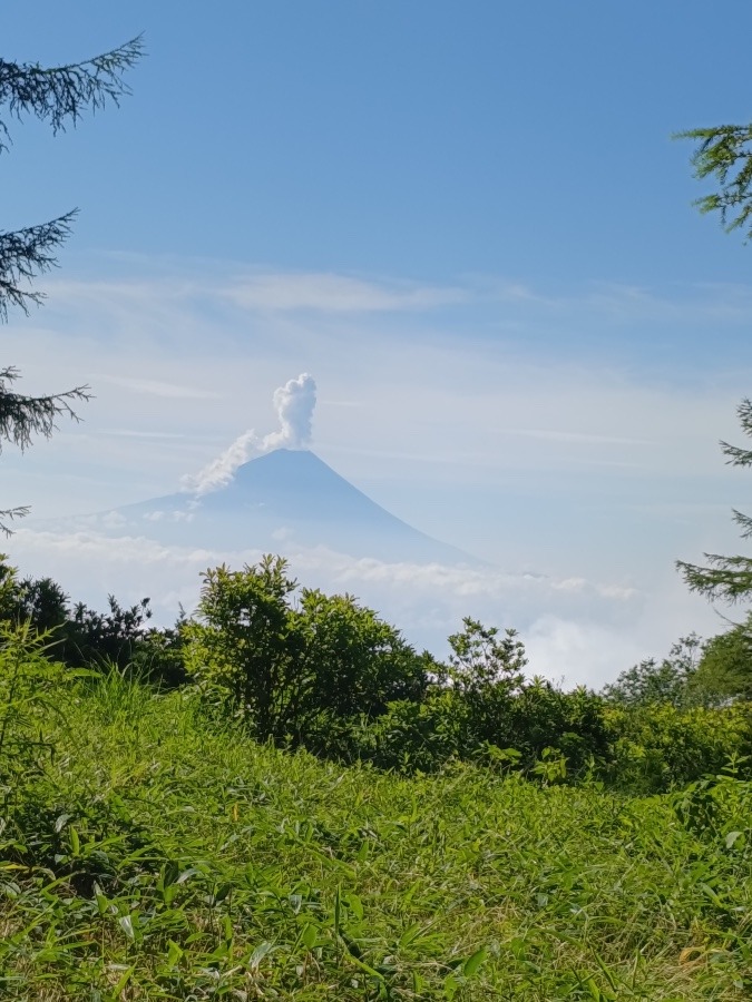 甘利山からの富士山