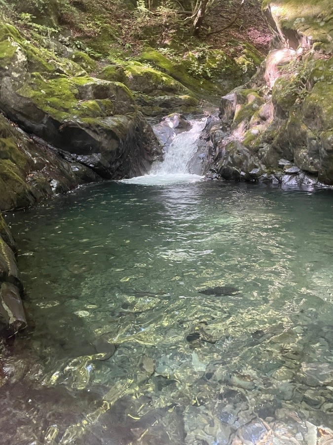 奥多摩の沢