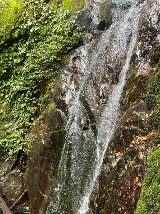 秋川の沢