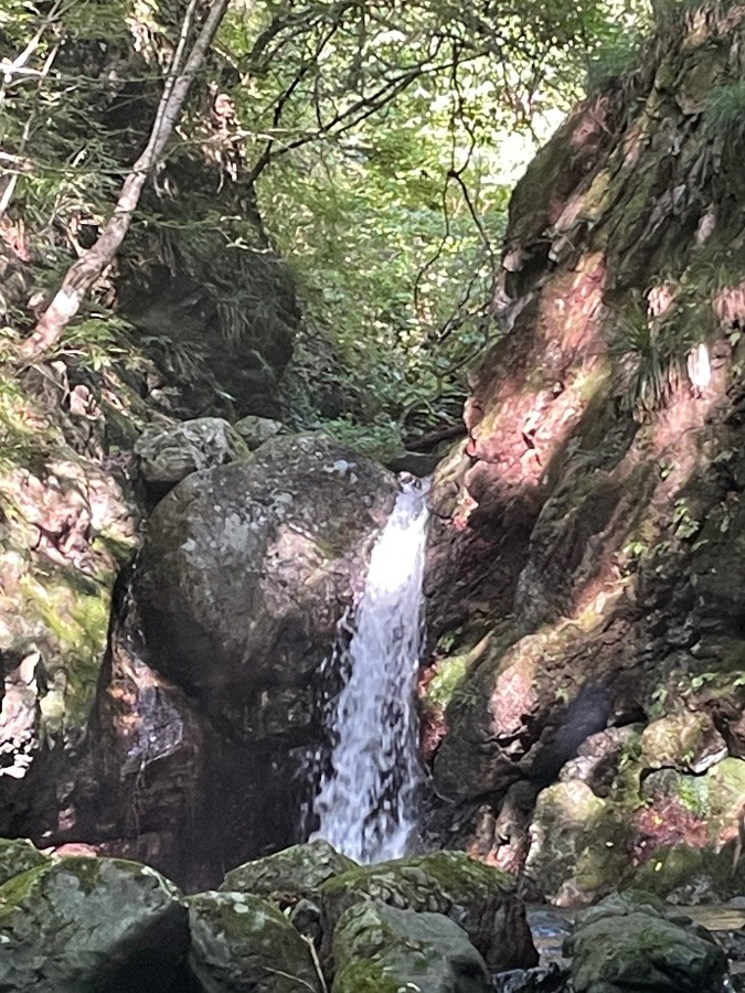 秩父の沢