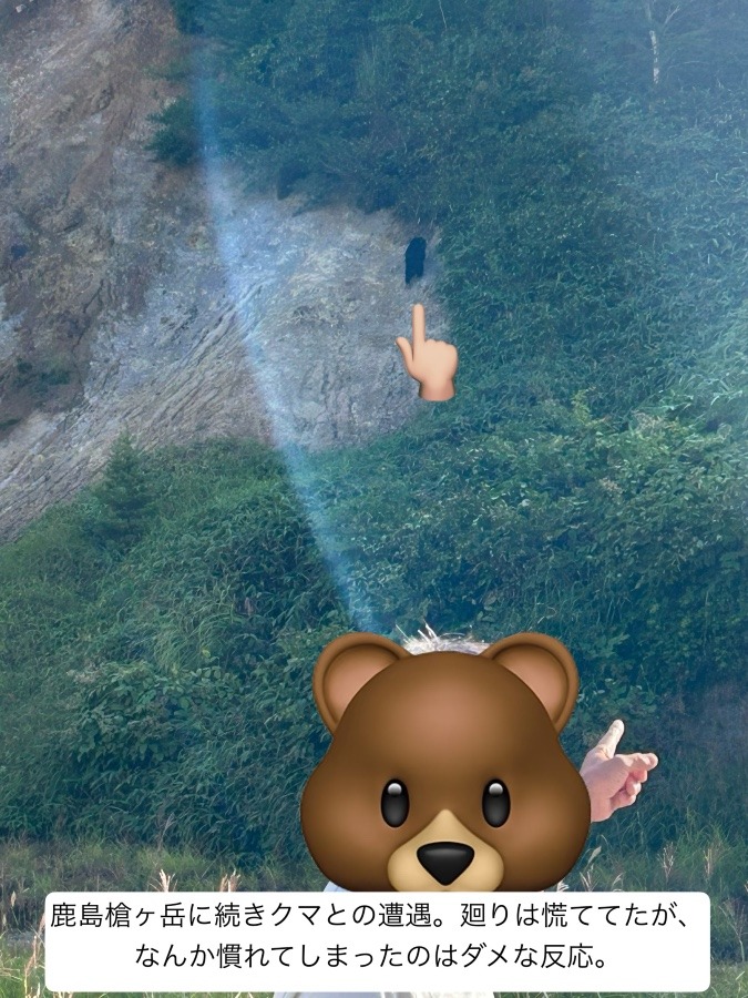 50s 笠ヶ岳 またもクマに遭遇‼️