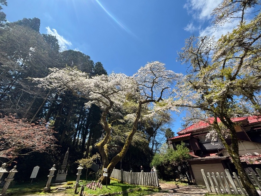 山友募集