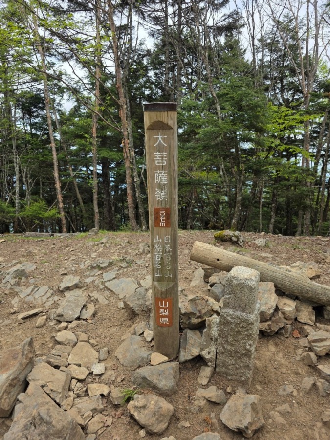 低山、単独ソロ専門です
