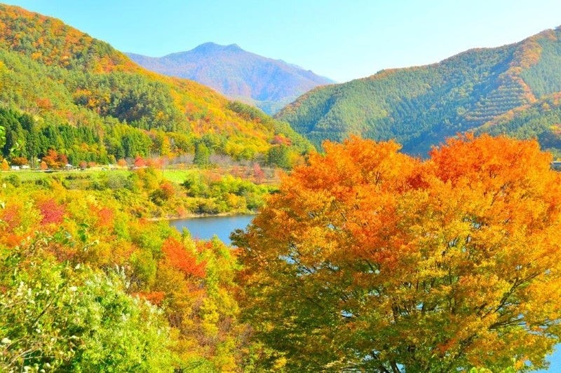 【百名山】10/12(日)八幡平、13(月祝)早池峰山にご一緒しませんか?