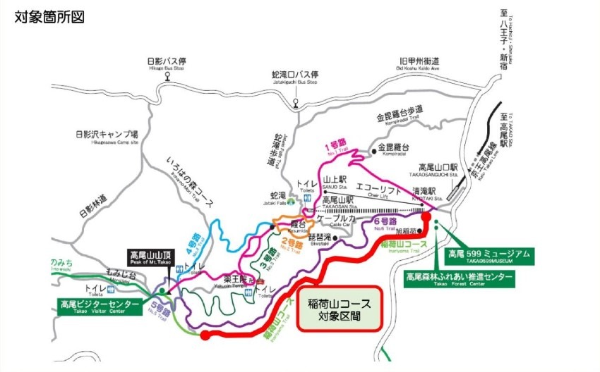 11/3月祝 55歳くらいまで 高尾山復活稲荷コース